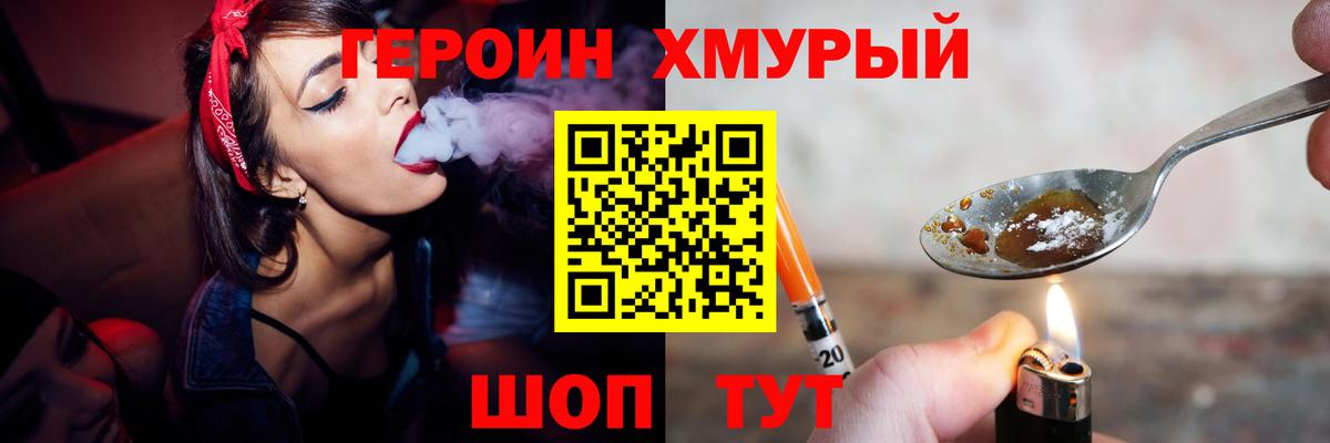 ГЕРОИН хмурый Балтийск