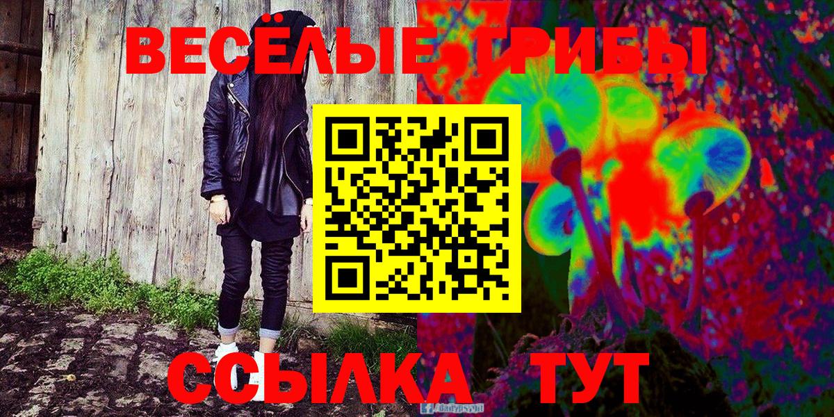 Галлюциногенные грибы GOLDEN TEACHER  Галлюциногенные грибы MAGIC MUSHROOMS  Балтийск  Вход с VPN 
